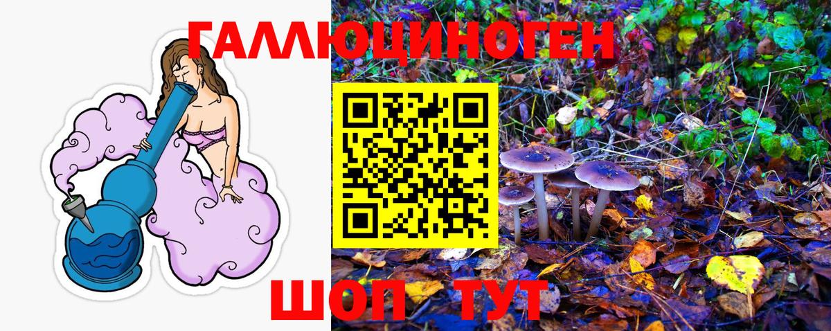 Галлюциногенные грибы Cubensis  где купить наркоту  Казань  Вход с VPN  Псилоцибиновые грибы Magic Shrooms 